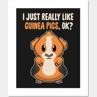 I Just Really Like Guinea Pigs OK ? Cute Toddlers Kids graphic Posters and Art